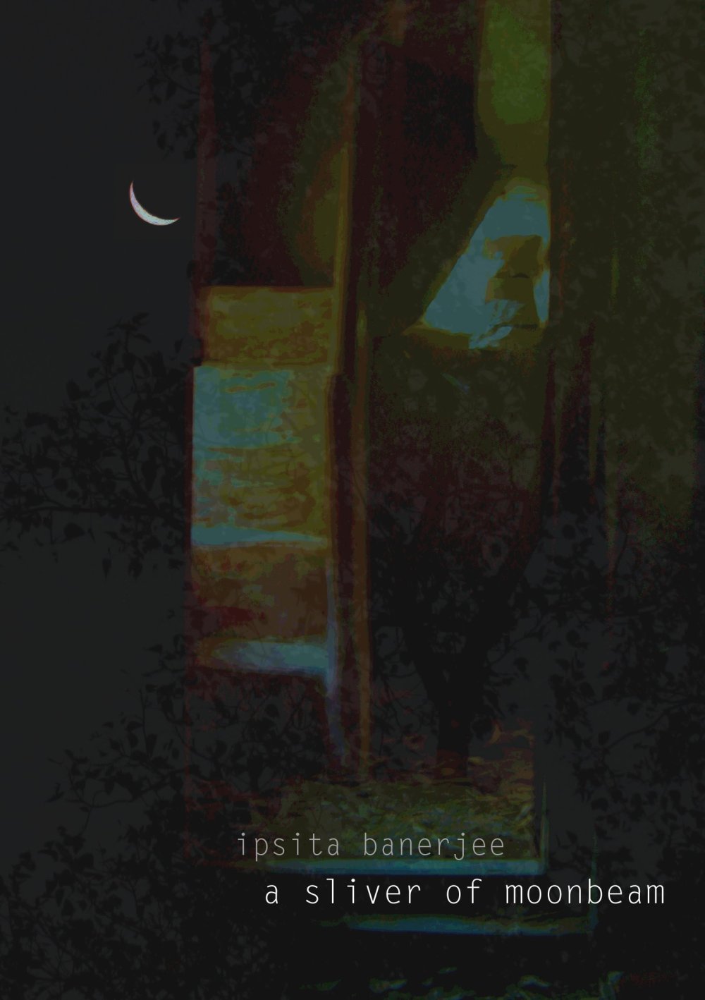 471446_404715346222690_64723149_o