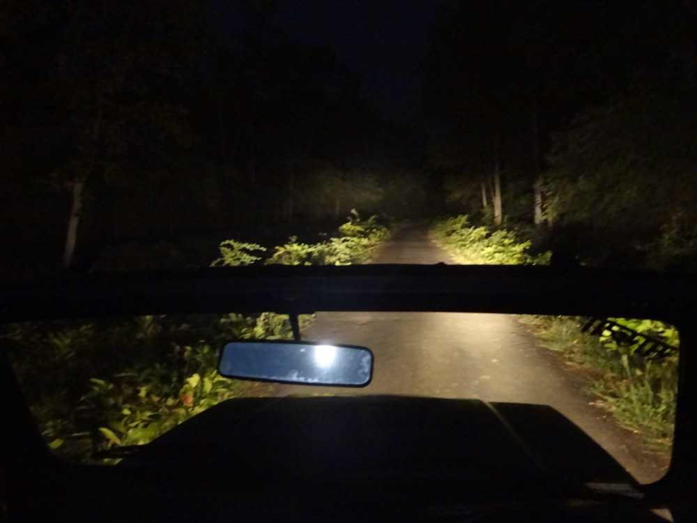 37B519CE-5DA2-4D06-9534-2E241F3B1C77